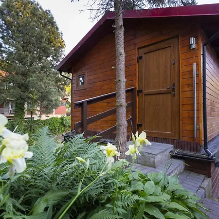 Gniazdo. Apartamenty, بيت ضيافة Jastrzębia Góra