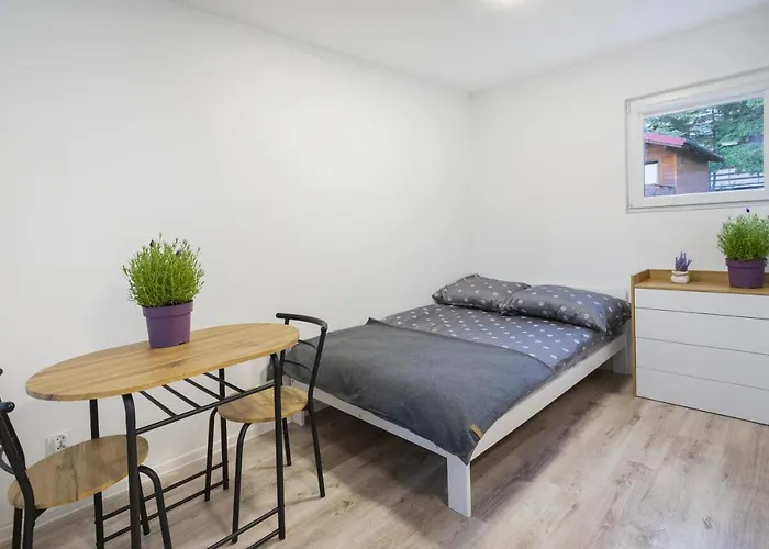 Gniazdo. Apartamenty,