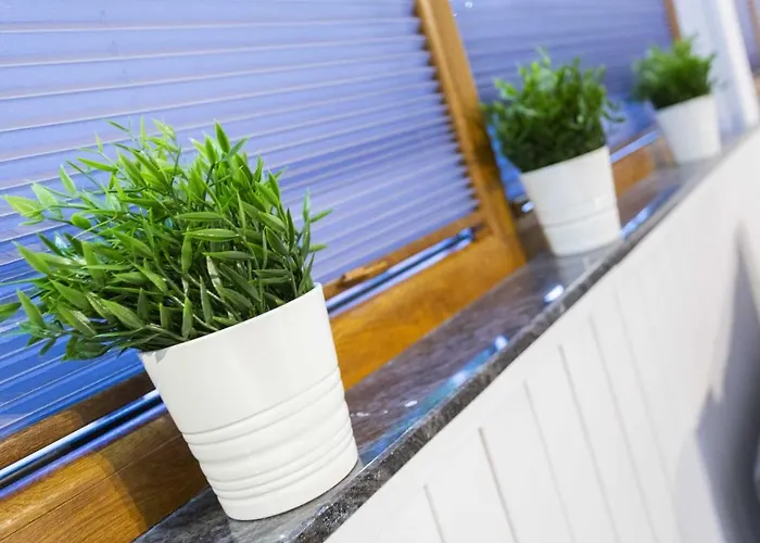 Gniazdo. Apartamenty, 3*