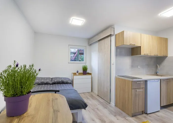 Gniazdo. Apartamenty, 招待所 Jastrzębia Góra